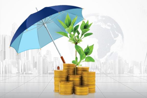 فعال کردن بیش از 120 واحد تولیدی راکد در سال اقتصاد مقاومتی فعال کردن بیش از 120 واحد تولیدی راکد در سال اقتصاد مقاومتی