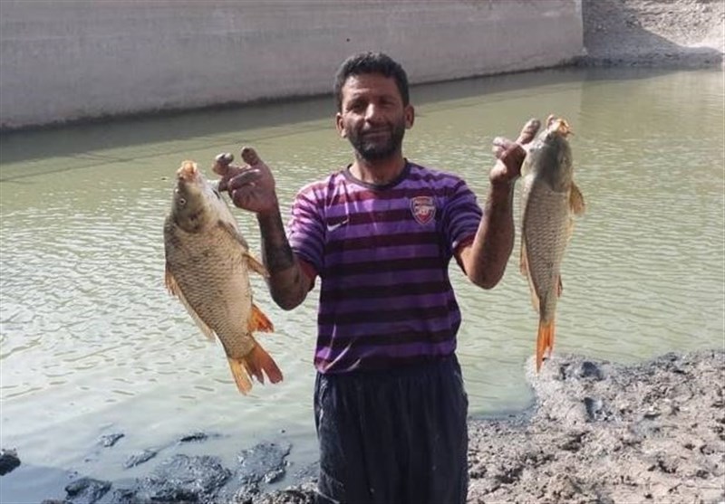 «جوان بیکار و بیپول ایرانی که یکساله میلیونر شد»/ سود ۳میلیاردتومانی «جوان بیکار و بیپول ایرانی که یکساله میلیونر شد»/ سود ۳میلیاردتومانی