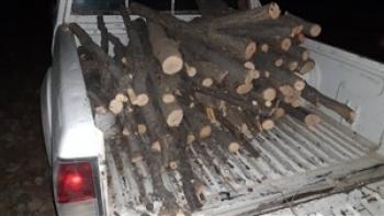درگیری خونین قاچاقچیان چوب با مامور یگان منابع طبیعی خانمیرزا