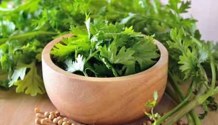 حتما این سبزی را مصرف کنید ؛ این گیاه  برای درمان یبوست و  آفت دهان موثر است