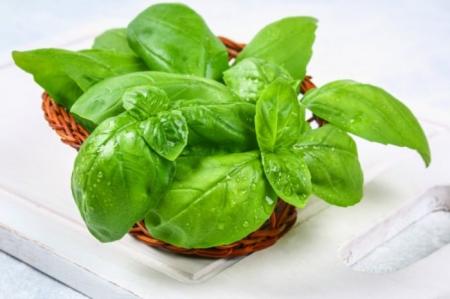 درمان سریع مسمویت غذایی با نوعی سبزی