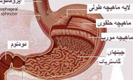 پاکسازی معده با این عرق های گیاهی