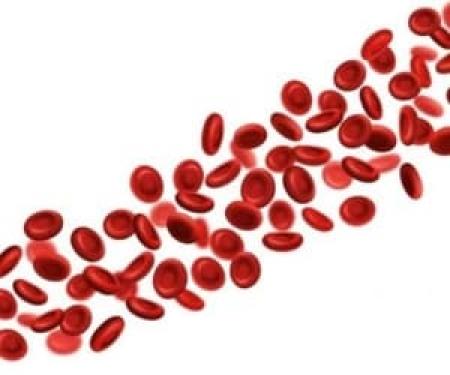 چطور گلبول های قرمز خون را افزایش دهیم؟/گلبول قرمز و راه های افزایش گلبول قرمز خون با رعایت نکاتی ساده