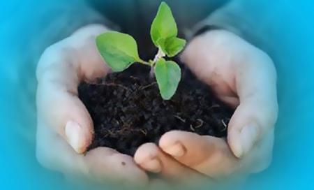 هرچه نیت بالاتر باشد عمل قیمتی‌تر است