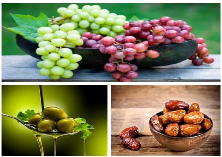 علل تاکید خداوند بر مصرف زیتون، خرما، انگور چیست