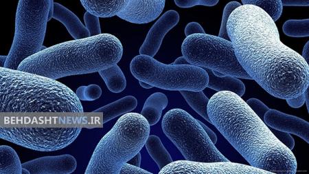 روشهای طبیعی درمان۱۰ عفونت باکتریایی رایج