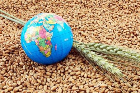  اقدامات «جهاد کشاورزی»؛ ترسیم آینده روشن برای «امنیت غذایی»