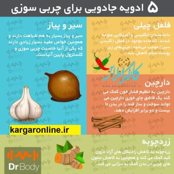 چربی سوزی ارگانیک به روش قدیمی ها +عکس