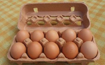 ماجرای واریز یارانه تخم مرغ چیست؟