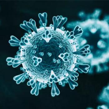 ویروس کرونا روی سطوح تا یک ماه زنده است
