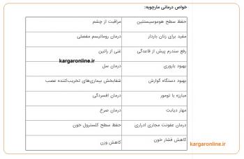 تا فصل این گیاه تمام نشده مشکلات ناعلاج را با آن درمان کنید/ درمانگر 18 بیماری