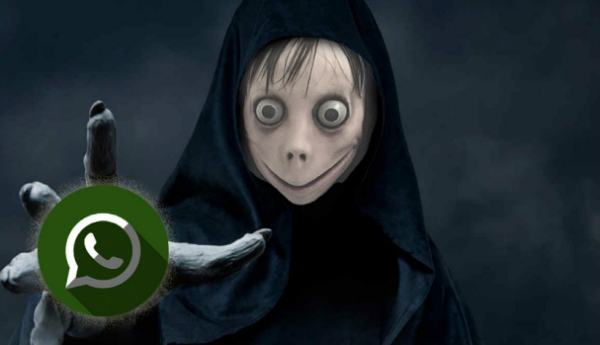 ویدئو/قربانی جدید مومو! ویدئو/قربانی جدید مومو!