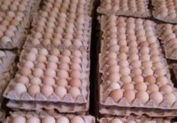 گران‌فروشی ۸ هزار تومانی شانه تخم‌مرغ در بازار