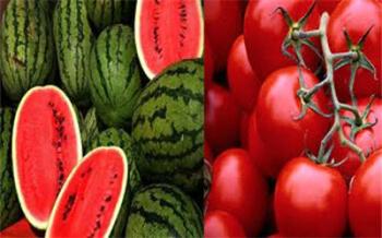 عراق از ایران 100 میلیون دلار گوجه و هندوانه خرید