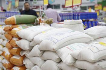 قیمت برنج شکست / توزیع برنج وارداتی آغاز شد