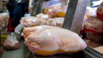 پرواز مرغ با ارز دولتی/ یارانه ۲.۵ میلیارد دلاری تولید گوشت مرغ کجاست؟
