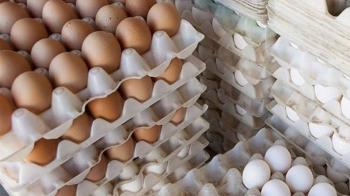 هر شانه تخم‌مرغ به مرز ۴۰ هزار تومان رسید