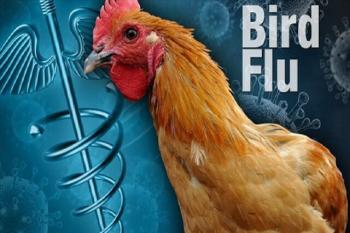 ویروس آنفلوآنزای پرندگان چگونه در مواد غذایی از بین می رود؟