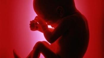 سقط شدن عجیب جنین در رحم اجاره ای