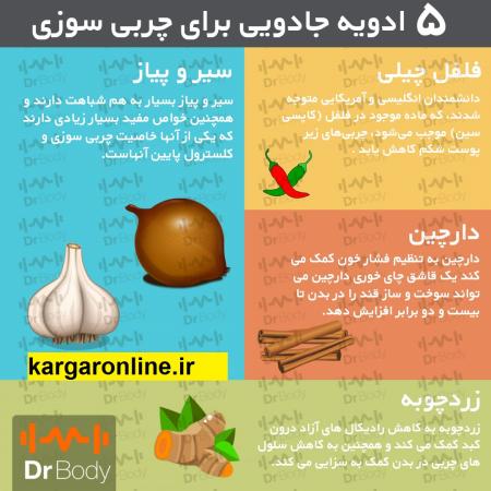 چربی سوزی و لاغری بدون هزینه و ارگانیک +سند