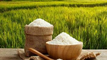 قیمت برنج ایرانی و هندی در بازار