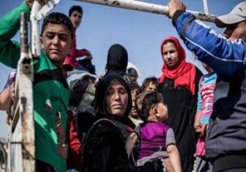 افشای موارد گسترده تجاوز به کودکان سوری در اردوگاه آوارگان در ترکیه