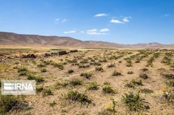 معاون وزیر نیرو: خشکسالی، ترسالی و سیل مخرب سرنوشت ایران شده است معاون وزیر نیرو: خشکسالی، ترسالی و سیل مخرب سرنوشت ایران شده است