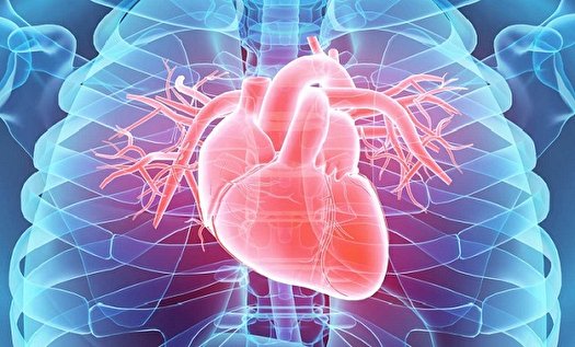 بیماری های عروق را جدی بگیرید بیماری های عروق را جدی بگیرید