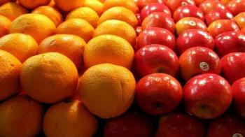 صادرات سیب و پرتقال ممنوع!