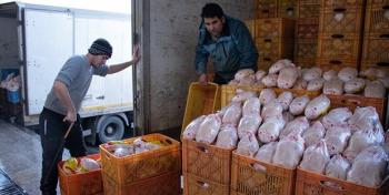 وزیر صمت: توزیع مرغ منجمد از امروز آغاز شد