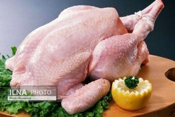 دلیلی برای رد آمار تولید مرغ در کشور وجود ندارد/ علت اصلی گرانی و نوسانات مرغ چیست؟