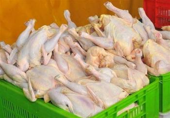 مرغ رسما گرانتر شد؛ قیمت مصوب ۲۵ هزار تومان