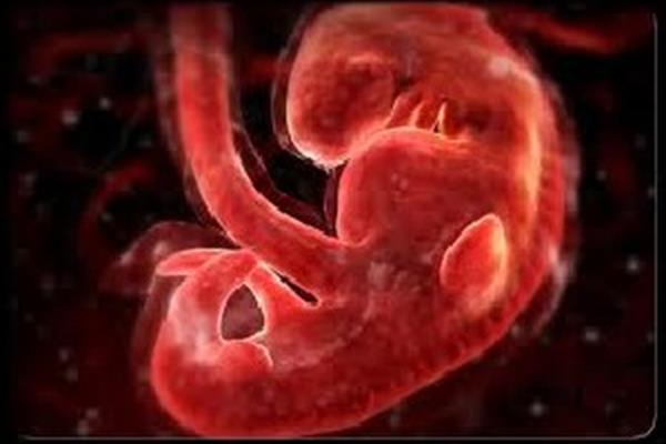 15 سال زندگی یک زن با جنین مرده ! 15 سال زندگی یک زن با جنین مرده !