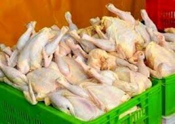 ابلاغ مصوبه واردات ۵۰ هزار تن گوشت مرغ