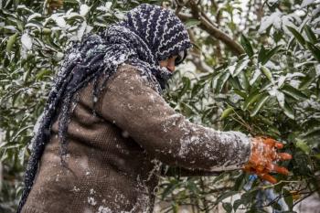 مشکلات پنهان و اشکار برای زنان کارگر در مازندران