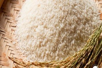 پیش‌بینی افزایش تجارت جهانی برنج در سال آینده