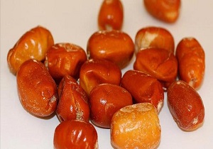 خانواده ای که سنجد می خورد نیازی به دکتر رفتن پیدا نمی کند+28 خاصیت