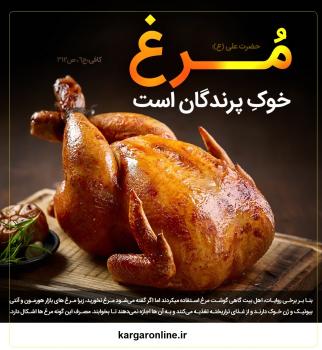 چرا مرغ به خوک پرندگان شهرت دارد+پاسخ در روایات و طب اسلامی