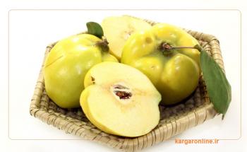 این میوه پاییزی را ازدست ندهید/قاتل فشار خون/سرما خوردگی و زخم معده و 11 خواص ضد سرطان/+لاغری و زیبایی