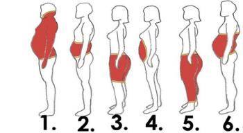 دلایل افزایش تجمع چربی در بدن