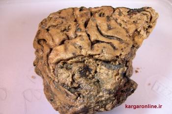 انسانی 2600 ساله با مغزی سالم و دست نخورده کشف شد! +عکس