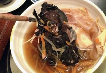 «خفاش، موش، سوسک، سگ، قورباغه» چطور وارد رژیم‌ غذایی چینی‌ها شد؟