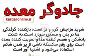 جادوگر معده را بشناسید / سرطان معده در کمین ایرانی هاست