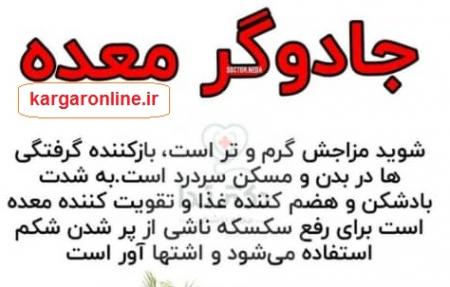 جادوگر معده را بشناسید / سرطان معده در کمین ایرانی هاست جادوگر معده را بشناسید / سرطان معده در کمین ایرانی هاست
