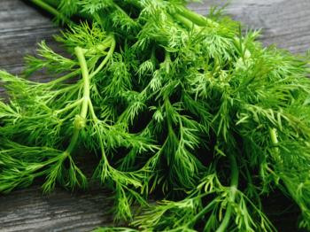 سرفه و تنگی نفس /ضعف معده، کبد و طحال، سنگ کلیه و مثانه، درد مفاصلی و بیماری‌های مردان را با این سبزی درمان کنید