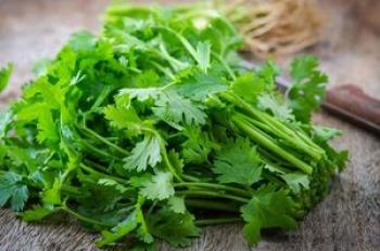 مزایای سبزی معروف به گیاه مقدس/از درمان کم خونی ، کبد و مشکلات کلیه تا تنظیم سطح کلسترول