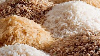 نرخ برنج ایرانی به کیلویی ۴۵ هزار تومان رسید!