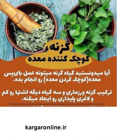 گیاهی که می تواند جایگزین عمل بای پس 