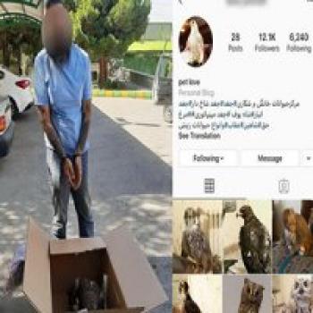 قاچاقچی حیات وحش در فضای مجازی به دام افتاد