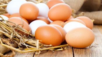 واردات تخم مرغ از هفته آینده/قیمت واقعی تخم مرغ چند؟